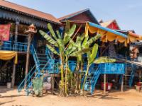 Palmen vor den Treppenaufgängen der Stelzenhäuser - Kampong Phluk - Kambodscha